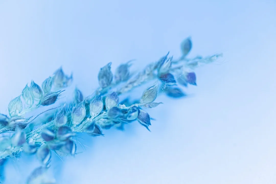 重庆电商仓配一体化服务升级:退换货处理流程优化新思路